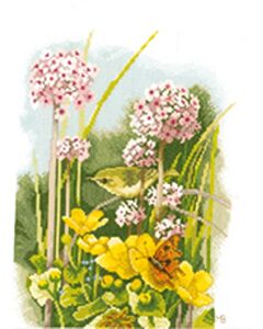 Kleine vogel Marjolein Bastin