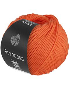 Lana Grossa Promessa kleur 25 (zeegroen)