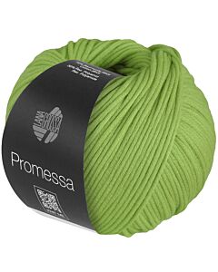 Lana Grossa Promessa kleur 34