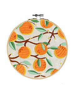 Restyle borduurpakket sinaasappels vrij borduren