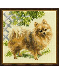 Riolis borduurpakket Pomeriaan 1585