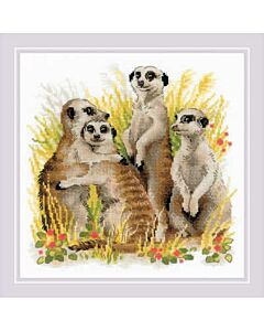 Borduurpakket Meerkats met telpatroon riolis1761