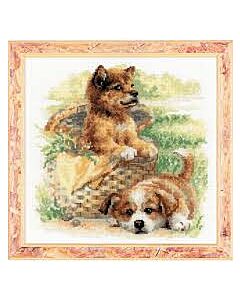 Borduurpakket  Tender Age van Riolis 