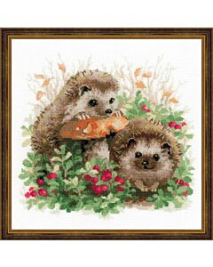 Riolis borduurpakket egels borduren 1469 met telpatroon