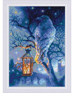 Riolis borduurpakket wise raven 1876