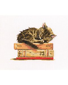 RTO borduurpakket Cat's Dream m642 met telpatroon om te borduren