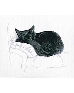 Borduurpakket  zwarte kat RTO M668