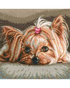  Borduurpakket yorkshire terrier pet  om te borduren van rto m709