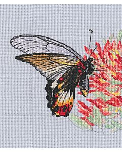 RTO borduurpakket Nectar for Butterfly M755