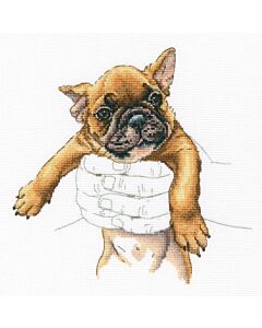 Borduurpakket  In Palms - French Bulldog Rto m821 met telpatroon