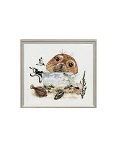  Borduurpakket zeehond van pako