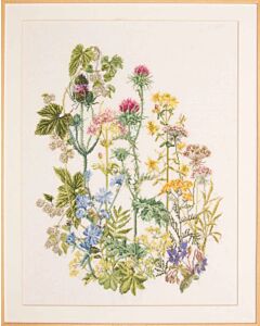 Thea Gouveneur borduurpakket kruiden struik 424A aida telpatroon