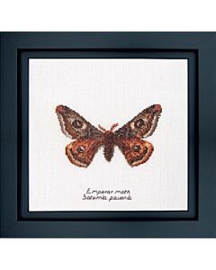 Thea Gouverneur Empereur Moth 562a borduren