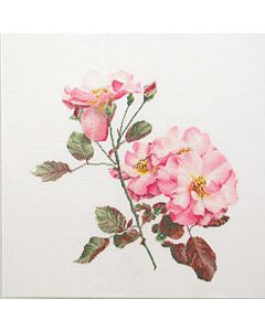 Thea Gouverneur Rose Leersum 412 borduren op linnen stof