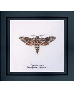 Thea Gouverneur Sphinx mots 564a borduren