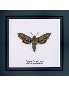 Thea Gouverneur Spurge Hawk moth 565a op linnen borduren