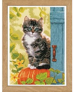 Vervaco borduurpakket Poes op pompoen pn-0158303 borduren 