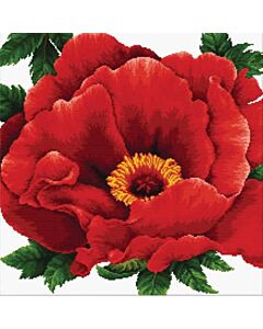 Voorbedrukt borduurpakket Peony / pioen op aida Needleart World 650.083