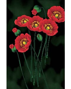 Voorbedrukt borduurpakket Red Poppies on black op aida Needleart World 650.011