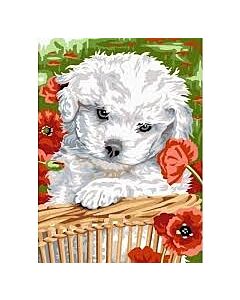 Voorbedrukt canvas/stramien tendresse hondje  om te borduren van Margot 72.2260