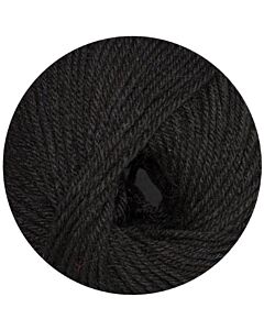 Online Linie 399 Livana kl.113