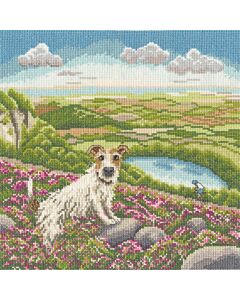 Bothy Threads borduurpakket schapen liggen lekker in de zon XLP24 telpatroon