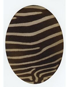  Kniestukken/elleboogstukken opstrijkbaar zebraprint