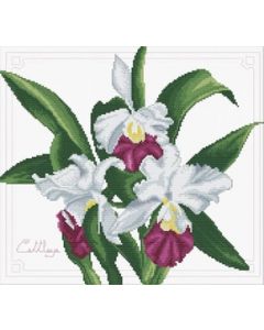 Voorbedrukt borduurpakket Bouquet of Orchids - Needleart World op aida   340.009