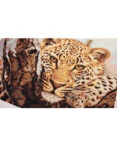 Luca-S borduurpakket luipaard borduren b525