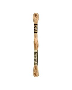 Borduurzijde DMC Mouline Special 117 kl.437 cognac 