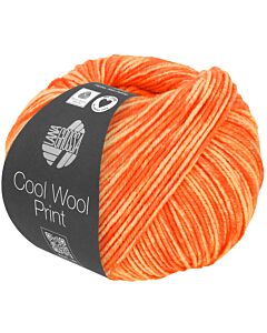 Lana Grossa Cool Wool Neon Print kl.6526