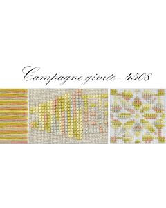DMC Coloris 4508