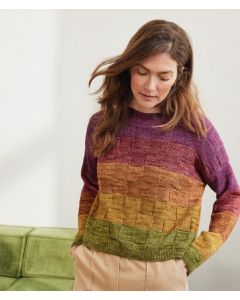 Lana Grossa trui breien van Cool Wool Vintage (Merino 3, m12 paars/camel/groen)