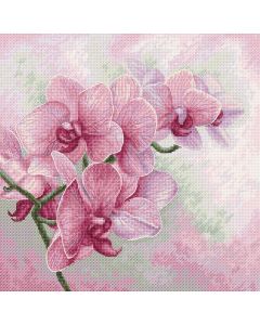 Luca-S borduurpakket Sierlijke Orchideeën b7009