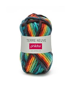 Phildar Terre Neuve wol kleur multico