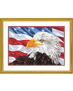 Schilderen  op nummer BALD EAGLE  Dimensions 73-91728