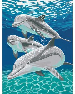 Schilderen op nummer dolfijnen Dimensions 91326