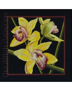 Orchids Cymbidium  borduurpakket rto