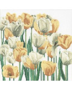 Thea gouverneur gele en witte tulpen 3065 aida wit