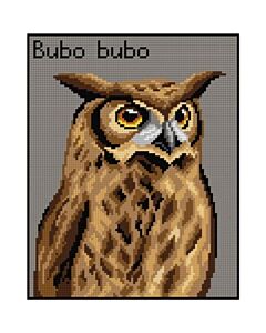 Voorbedrukte stramien Uil Bubo Bubo Orchidea 3016H