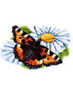 Knoopkleed Vlinder op Margriet  van Vervaco om te knopen  pn-0154242