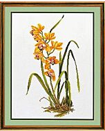 Eva Rosenstand borduurpakket gele orchidee 14-156 borduren