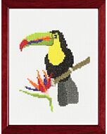 Pako borduurpakket toekan 210.801