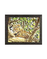 Serengeti Leopard van lanarte 38002a