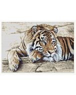 Thea Gouveneur borduurpakket 'Tijger' 579A telpatroon (ook verkrijgbaar op zwarte aida, 579.05)