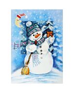 Orchidea wenskaart Sneeuwpop 6231 borduren