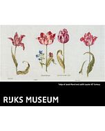 Borduurpakket Thea Gouverneur Tulips of Jacob Marrel and Judith Leyster 16th Century Rijks museum