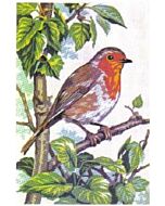 Voorbedrukt stramien/canvas van Roodborstje