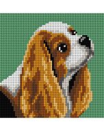 Orchidea borduurpakket trouwe viervoeter 9784 voorbedrukt stramien incl. garen, ideaal voor beginners!