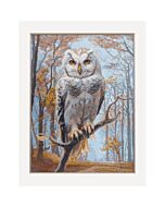 Aine borduurpakket geboortetegel het is een meisje A1029 telpatroon